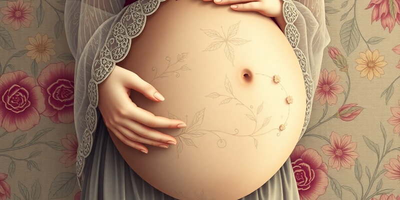 Pregnancy Length and Trimesters Overview