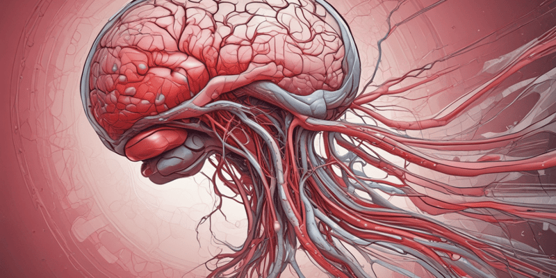 Flujo Sanguíneo Cerebral