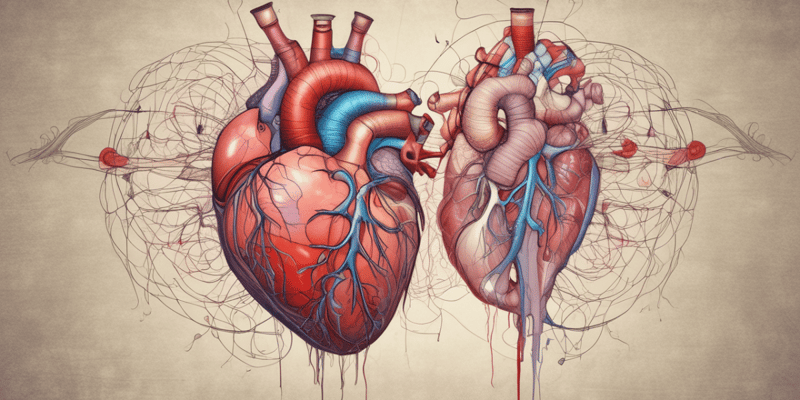 Cyanotic Heart Defects (CHDs)