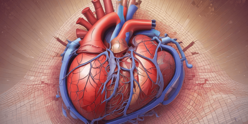 Pericardial Layers and Function Quiz