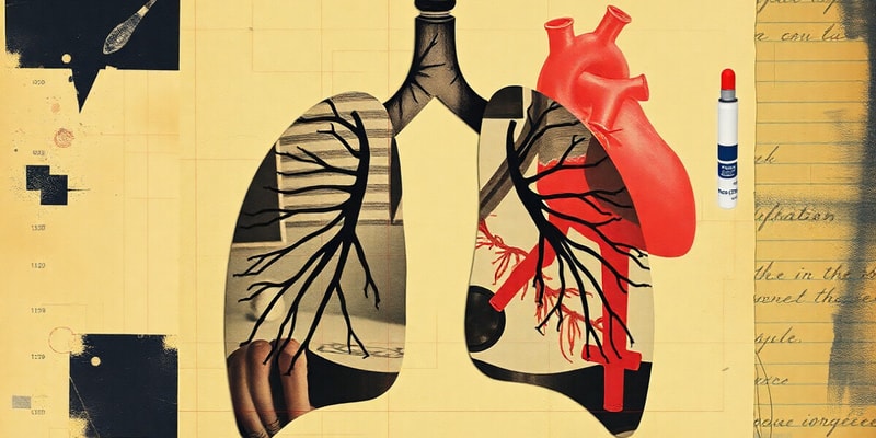 Le système cardiovasculaire et la respiration