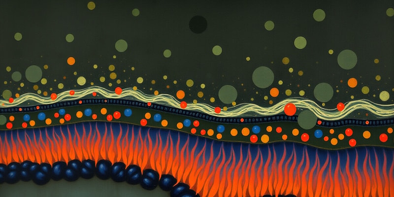 Transports passifs de la membrane plasmique