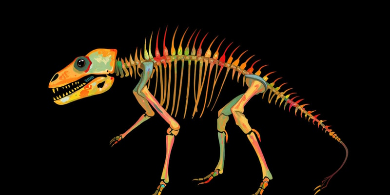 Classification of Vertebrates Quiz