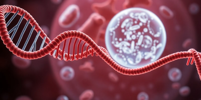 Biologie Cellulaire: Transcription et Réplication