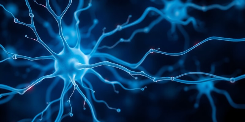 Neuroscience Quiz: Action Potentials and Cells