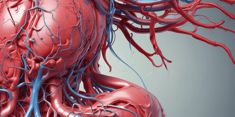 Anatomy Terminology Quiz: Arteries, Auricular Muscles, Nerves, and Blood Vessels