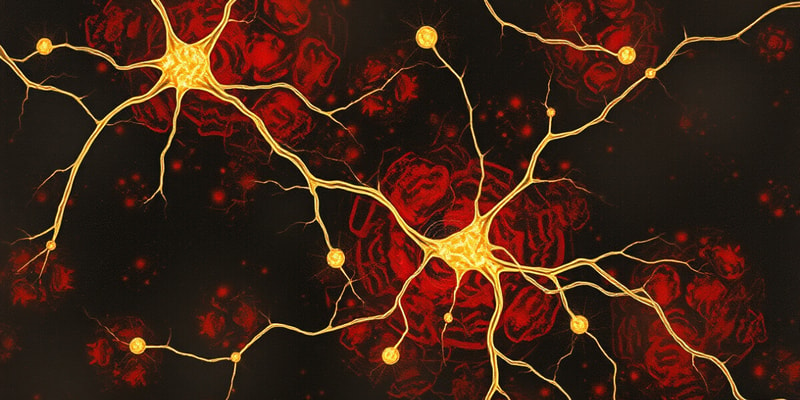 PSYU2236 W3 | The Synapse and Action Potentials