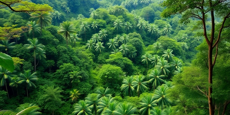 Economic, Social, and Environmental Uses of Rainforests