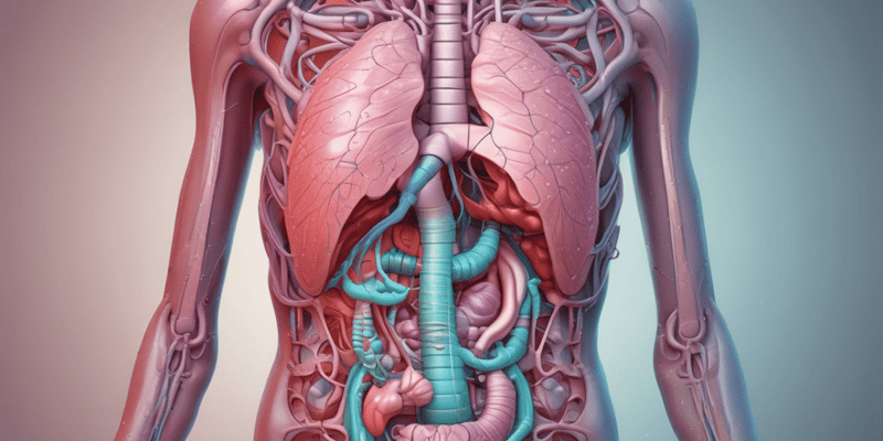 Digestive System: Esophagus and Stomach (2nd Class, Dentistry)