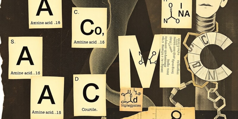 Amino Acid Classification and Functions