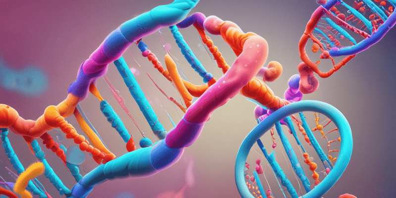 DNA Replication Mechanisms Quiz