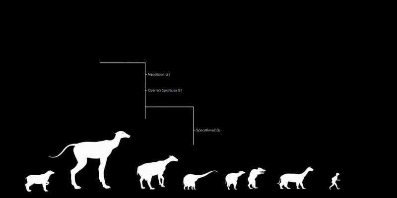 Evolutionary Biology Quiz: Speciation and Cladograms