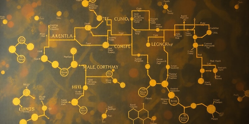 Vías Metabólicas y Biomoléculas