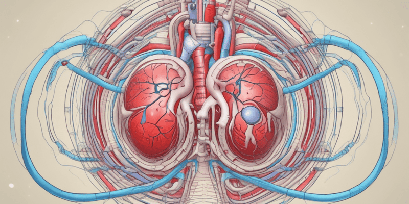 Physiologie du système splanchnique et hypertension portale