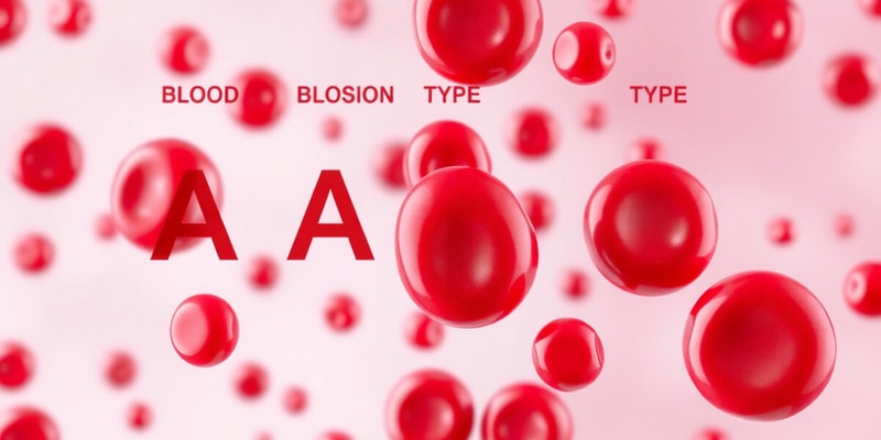 Blood Types and Transfusion Reactions