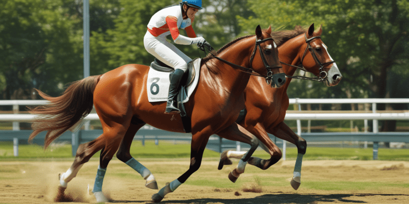 Equestrian Rules and Definitions Quiz