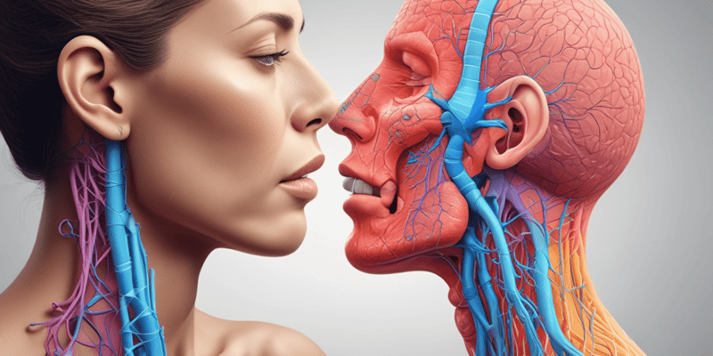 Respiratory System - Nose and Pharynx Functions