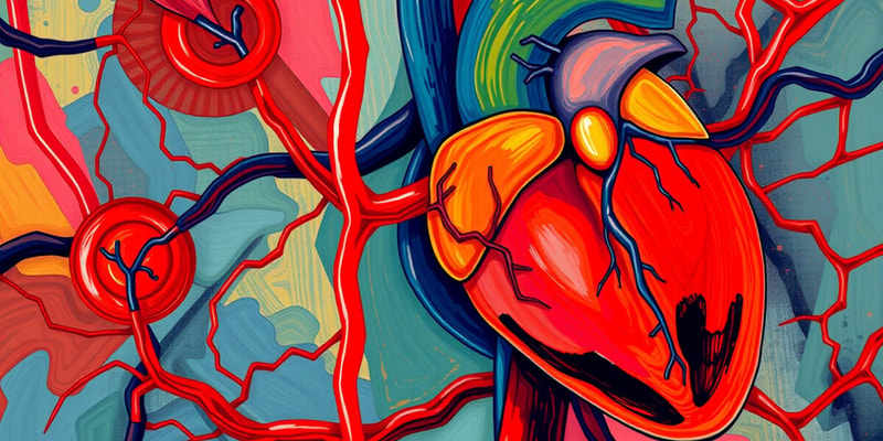 Heart Circulation and Valves Quiz