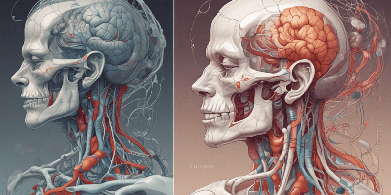 Human Body Organization and Function