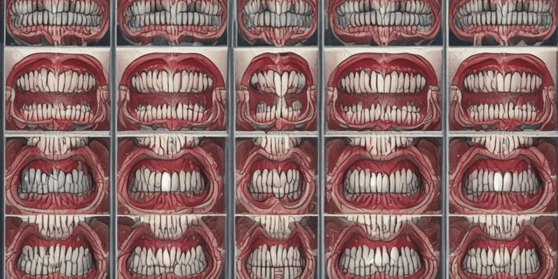 Dental Anatomy: Development of Enamel Organ