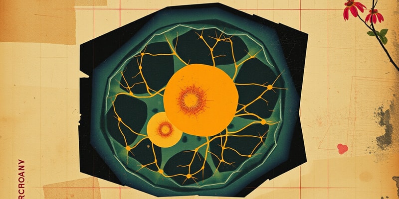 Cell Respiration and Mitochondria Structure