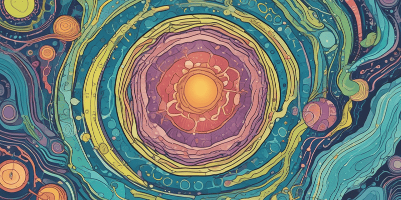 Mitochondrien: Energiekraftwerke der Zelle