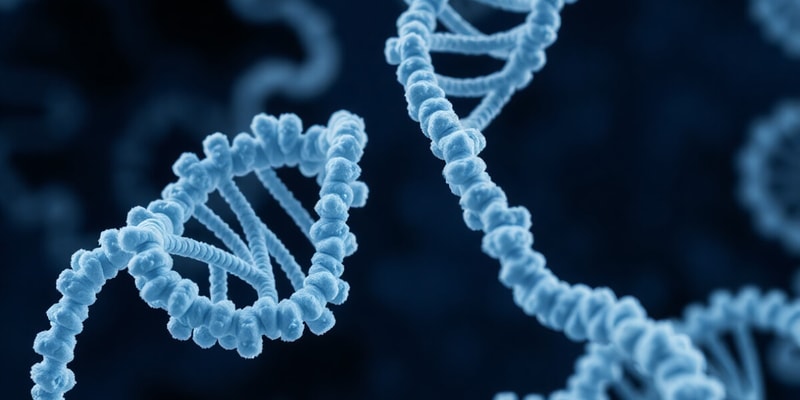 DNA, RNA, and Protein Synthesis Overview