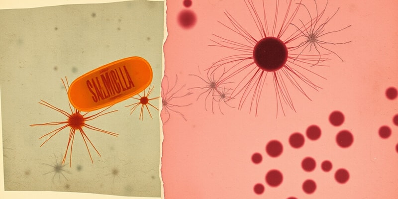 Comparison of Salmonella and Shigella