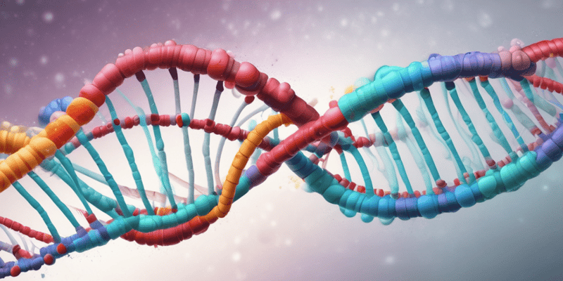 Molecular Biology Quiz: DNA Replication