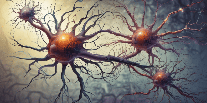 Système nerveux et synapses