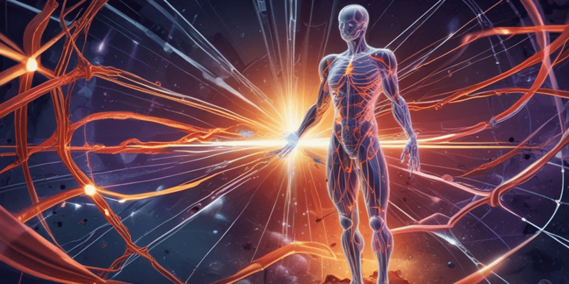 Energy, Work, and Power in the Human Body