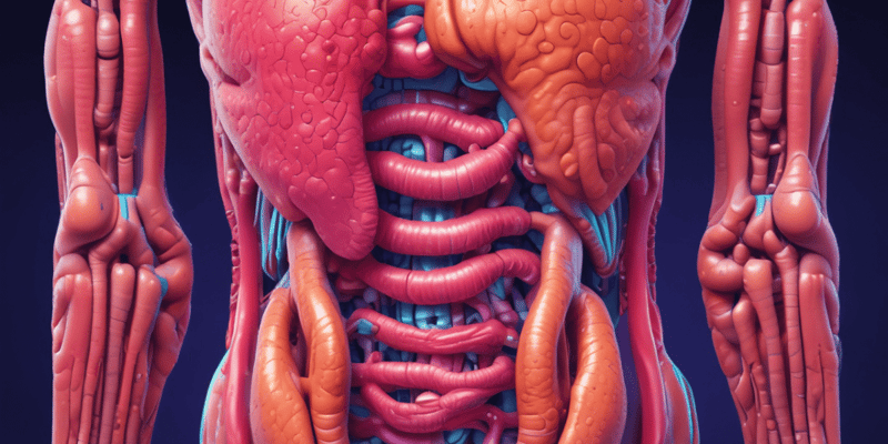 The Digestive System: An Overview
