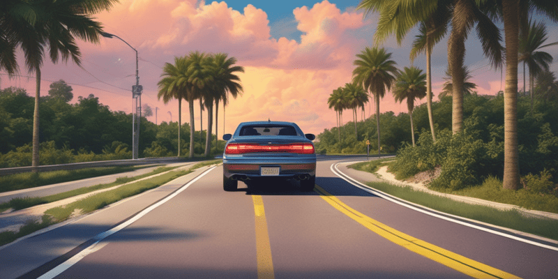 Florida Traffic Laws: Minor's License Application