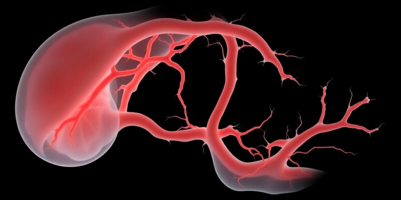 05. Embryology - Cardiovascular Development