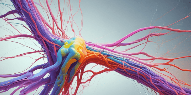 Nervous System and Pain Perception