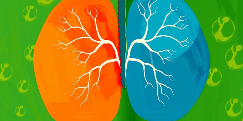 Endocrine System Chapter 16 Study Guide