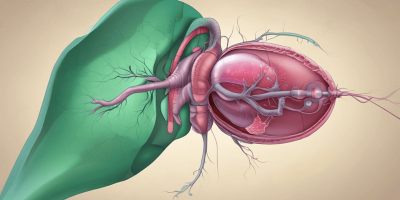 Gallstones and Cholecystitis: Symptoms and Treatment