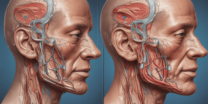 Parotid Gland and Facial Nerve Anatomy