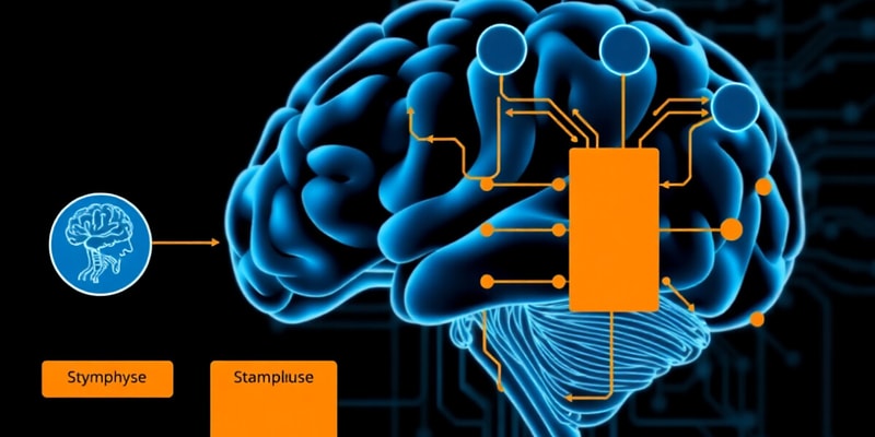 Stages of Information Processing in Motor System