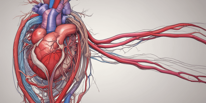 Coronary Vessels: Anatomy and Functions of the Heart's Blood Supply