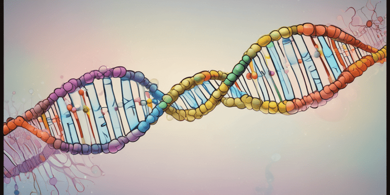 Molecular Biology: DNA Replication