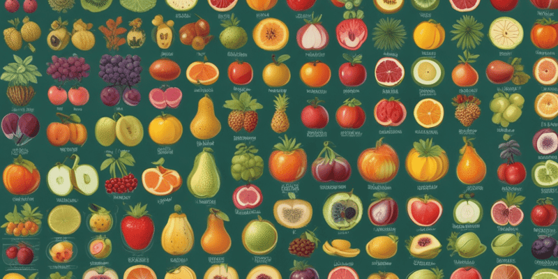 과일의 분류