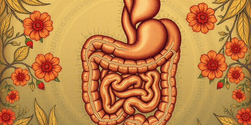 Biology Chapter 23: Body Systems Overview