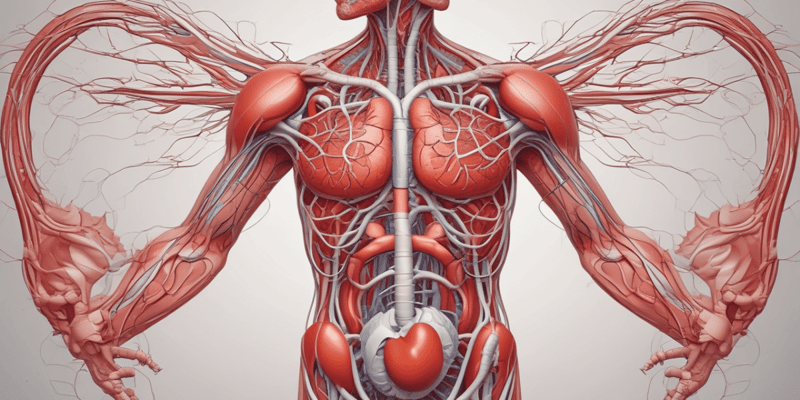 Cardiovascular System 2.2 - Circulation