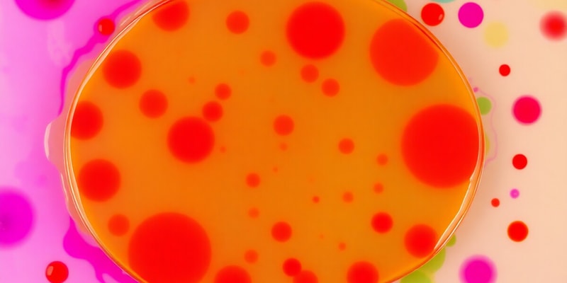 Microbiology Culture Media Overview