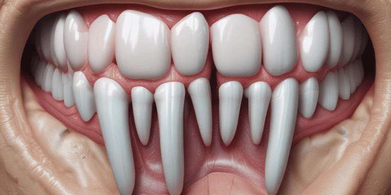 Enamel Overview and Properties