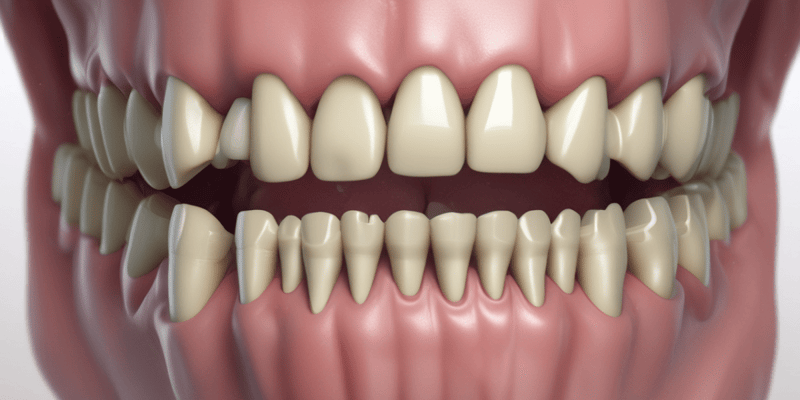 Dental Anatomy Lecture 6: Permanent Mandibular Incisors