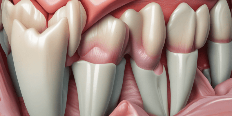 Dentin Structure and Development