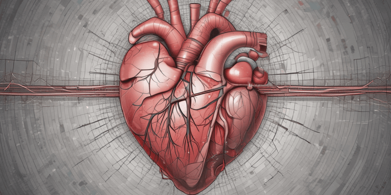 Cardiac Arrhythmia Anatomy
