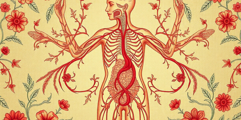 Biologi Kelas 10: Sistem Limfatik dan Darah